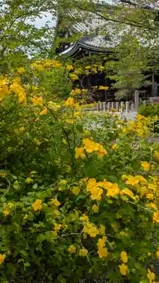 本法寺(京都府)