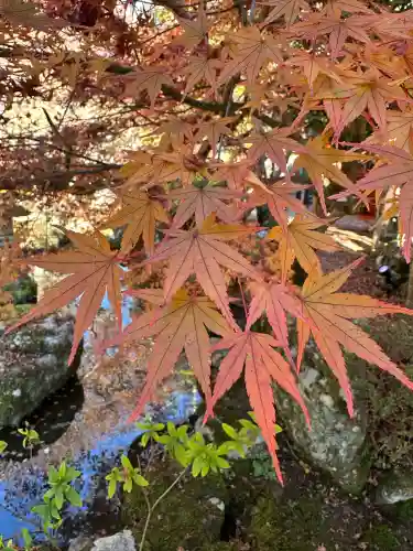 龍泉寺の{uncategorized: "未分類", other: "その他", undefined: "問題あり", building: "その他建物", grave: "お墓", sacred_gate: "鳥居", guardian: "狛犬", statue: "像", buddha: "仏像", history: "歴史", nature: "自然", garden: "庭園", animal: "動物", pagoda: "塔", temizu: "手水舎", mountain_gate: "山門・神門", sanctuary: "本殿・本堂", subordinate: "末社・摂社", art: "芸術", scenery: "景色", jizo: "地蔵", ema: "絵馬", goshuin: "御朱印", omikuji: "おみくじ", items: "授与品その他", amulet: "お守り", goshuincho: "御朱印帳", eats: "食事", festival: "お祭り", votive_dance: "神楽", shichigosan: "七五三参", wedding: "結婚式", experience: "体験その他", initially: "初詣", around: "周辺", anti_infection: "感染症対策"}