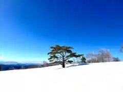 山家神社奥宮の景色