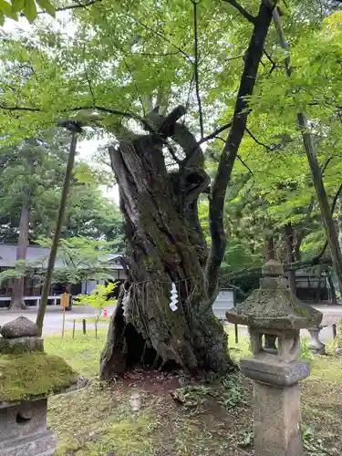 蠶養國神社(福島県)