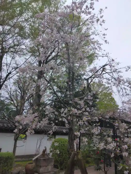 松月院(東京都)