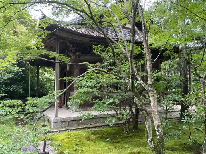 蓮華寺(洛北蓮華寺)(京都府)