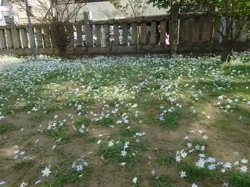 八幡橋八幡神社の自然
