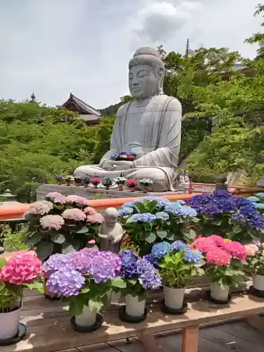 南法華寺（壷阪寺）(奈良県)