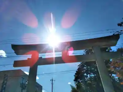 甲斐國一宮 浅間神社の鳥居