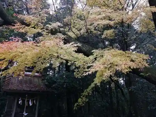 磯部稲村神社の自然