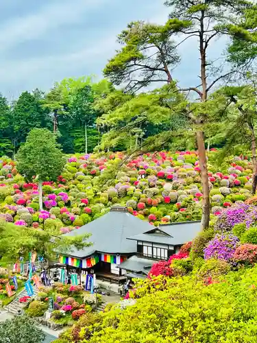 塩船観音寺(東京都)