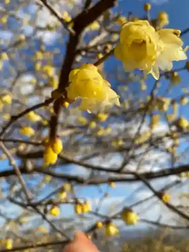 羽黒山神社(栃木県)
