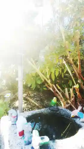 宗龍寺の手水舎