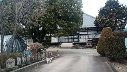 善徳院の本殿・本堂