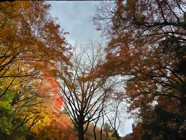 延命寺(大阪府)