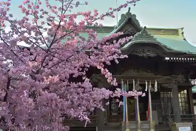 桜神宮(東京都)