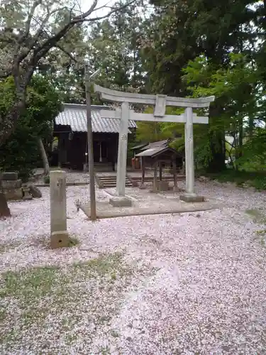 琴平大神の鳥居