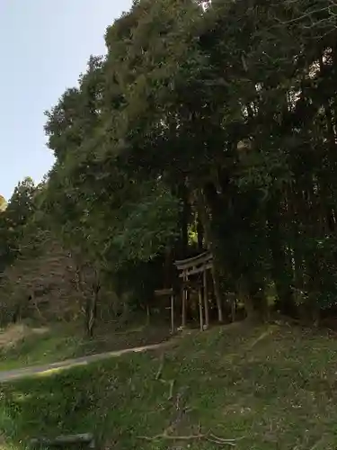 白山神社の鳥居