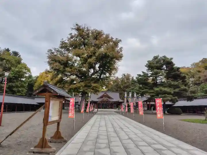 北海道護國神社の七五三参