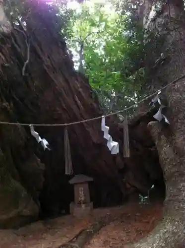 住吉神社の自然