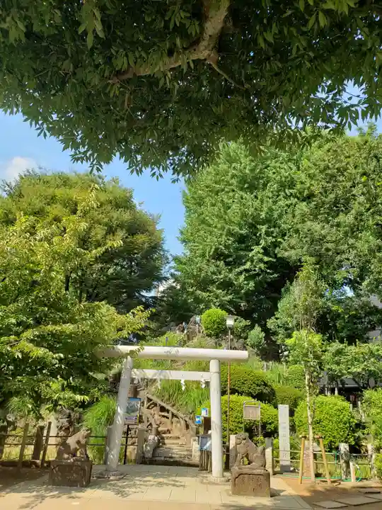 鳩森八幡神社の鳥居