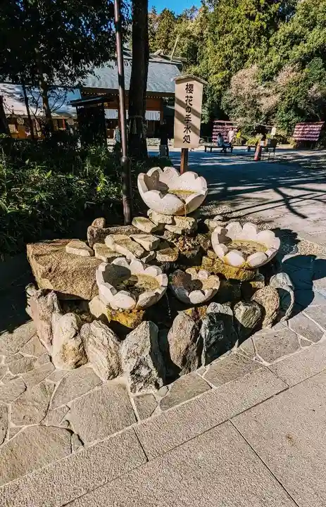 櫻木神社の手水舎