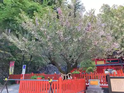 金櫻神社の{uncategorized: "未分類", other: "その他", undefined: "問題あり", building: "その他建物", grave: "お墓", sacred_gate: "鳥居", guardian: "狛犬", statue: "像", buddha: "仏像", history: "歴史", nature: "自然", garden: "庭園", animal: "動物", pagoda: "塔", temizu: "手水舎", mountain_gate: "山門・神門", sanctuary: "本殿・本堂", subordinate: "末社・摂社", art: "芸術", scenery: "景色", jizo: "地蔵", ema: "絵馬", goshuin: "御朱印", omikuji: "おみくじ", items: "授与品その他", amulet: "お守り", goshuincho: "御朱印帳", eats: "食事", festival: "お祭り", votive_dance: "神楽", shichigosan: "七五三参", wedding: "結婚式", experience: "体験その他", initially: "初詣", around: "周辺", anti_infection: "感染症対策"}