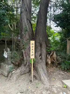 星宮神社(栃木県)