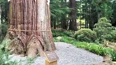河口浅間神社(山梨県)