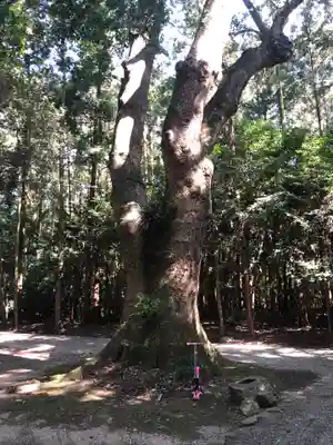 神麻続機殿神社(皇大神宮所管社)の自然