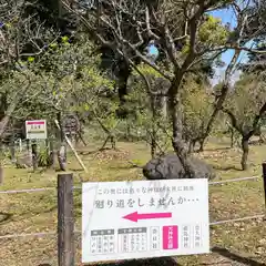 上宮天満宮の庭園