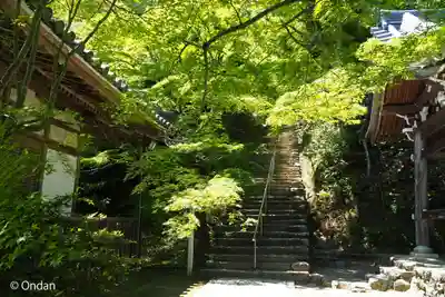 二尊院(京都府)