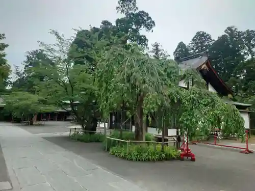 志波彦神社・鹽竈神社(宮城県)