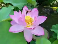 伊勢の国 四天王寺(三重県)