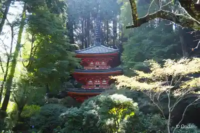 岩船寺(京都府)