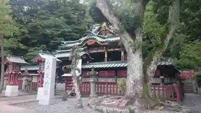 静岡浅間神社(静岡県)
