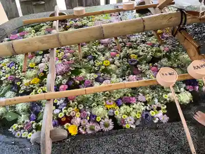 鳥取神社の手水舎