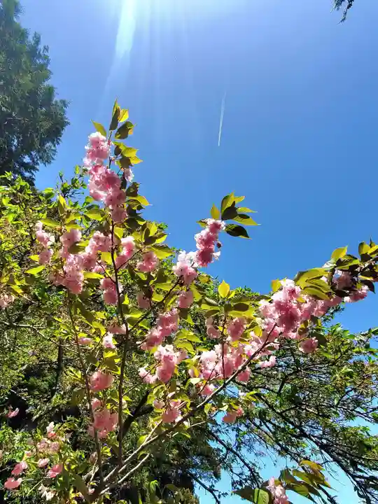 高司神社〜むすびの神の鎮まる社〜(福島県)