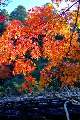 鹿島神宮(茨城県)