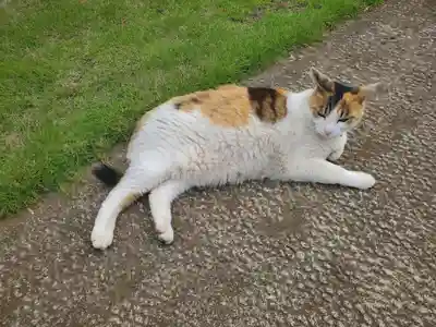 浄光院(栃木県)