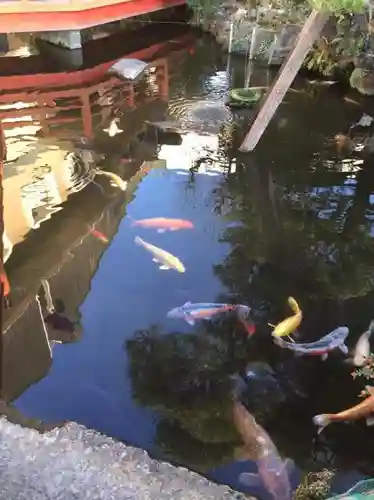 今泉八坂神社の庭園