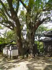 藤白神社(和歌山県)