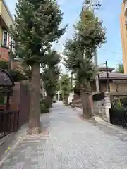 鳩ヶ谷氷川神社(埼玉県)