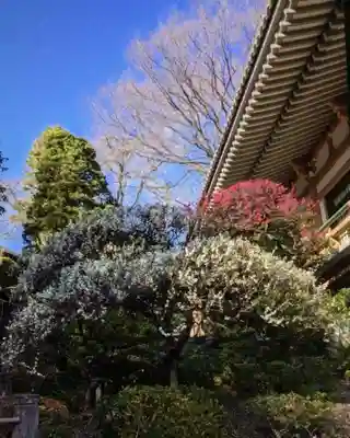 東長谷寺　薬王院(東京都)