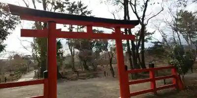 半木神社（賀茂別雷神社境外末社）の鳥居