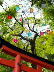 柳谷観音　楊谷寺(京都府)