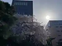 日蓮宗 浄運寺(東京都)