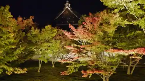 妙覺寺（妙覚寺）の庭園