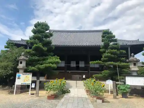 常楽寺の本殿・本堂