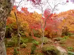 宝筐院(京都府)