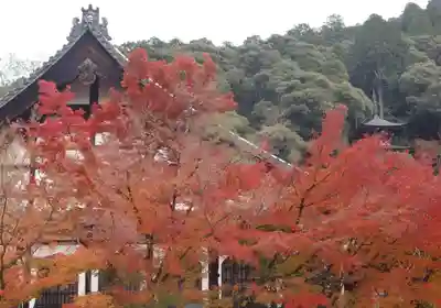 禅林寺(永観堂)(京都府)