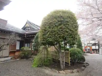 東光寺(神奈川県)