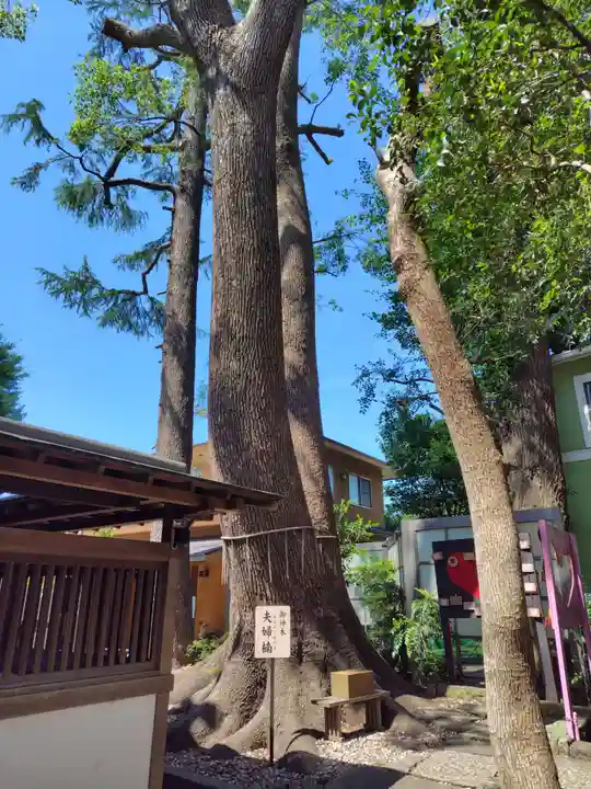 鳩ヶ谷氷川神社(埼玉県)
