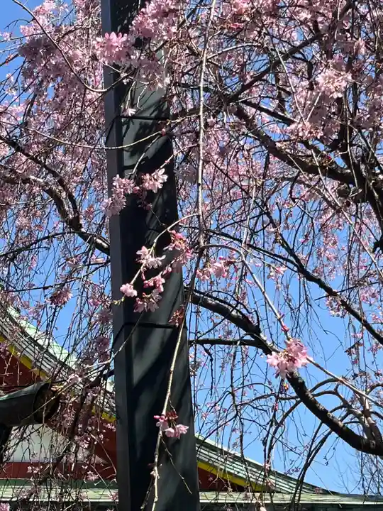 神田神社(神田明神)(東京都)